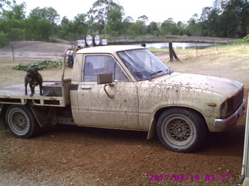 1981 Toyota Hilux Pictures