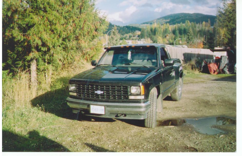 1989 Chevrolet C/K 1500 picture, exterior