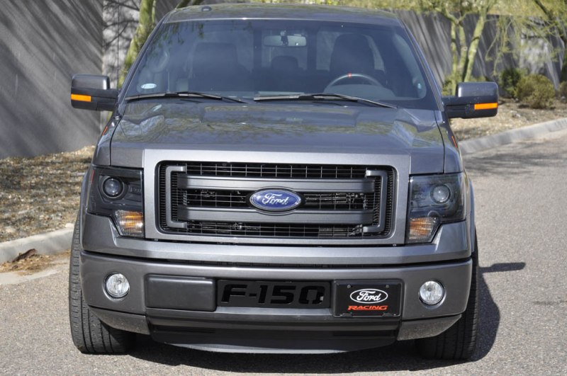 2009-2014 Ford F150 (F-150) Lower bumper grille inserts