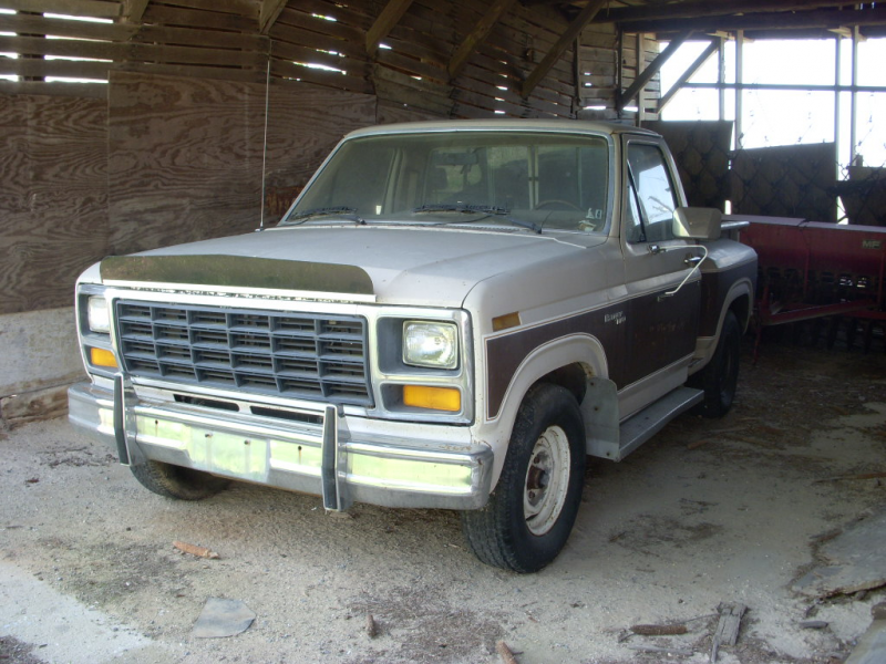 1981 Ford F-100 picture, exterior
