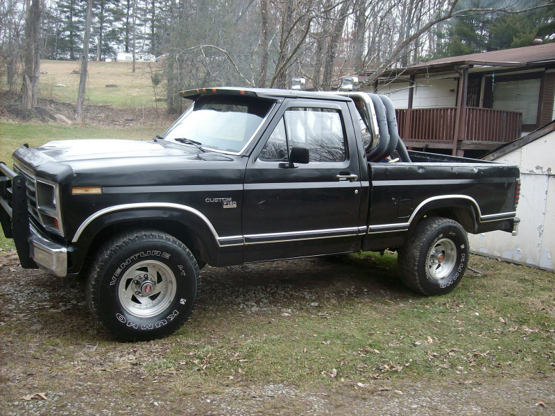 1981 Ford F-150 picture, exterior