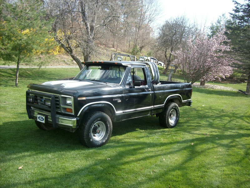 1981 ford f 150 picture exterior