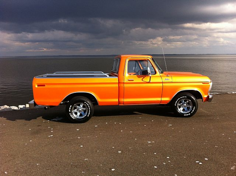1979 Ford F100 Picture 4