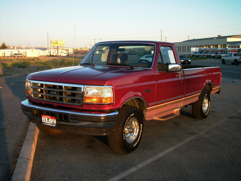 1995 Ford F-150 2 Dr Eddie Bauer 4WD Standard Cab LB picture