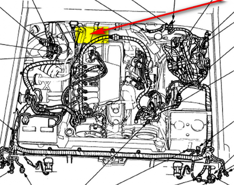 How do I add transmission fluid to a 1995 F150 automatic t