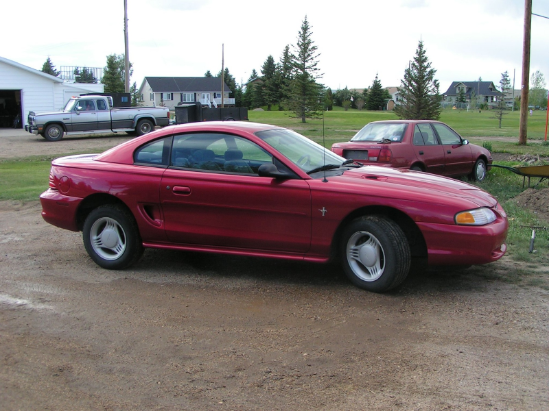 1994 Ford Mustang STD Coupe, 1994 Ford Mustang 2 Dr STD Coupe picture ...