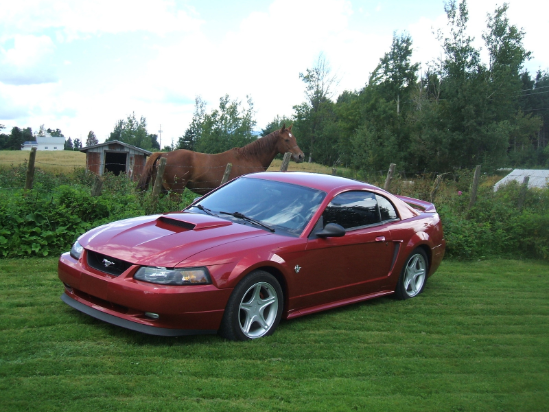 Picture of 1999 Ford Mustang GT Coupe, exterior