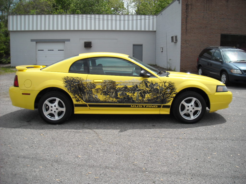 Picture of 2002 Ford Mustang Base, exterior