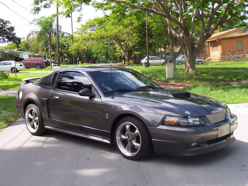 2003 Mineral Grey Ford Mustang GT Pictures - Miguel Dulanto '03