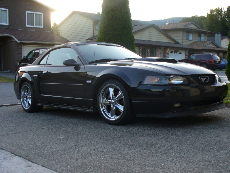 Picture of 2003 Ford Mustang GT Premium Convertible, exterior