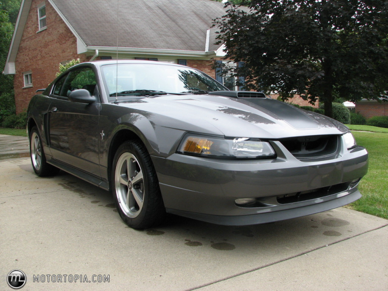 Photo of a 2003 Ford Mustang Mach 1 (Christine)