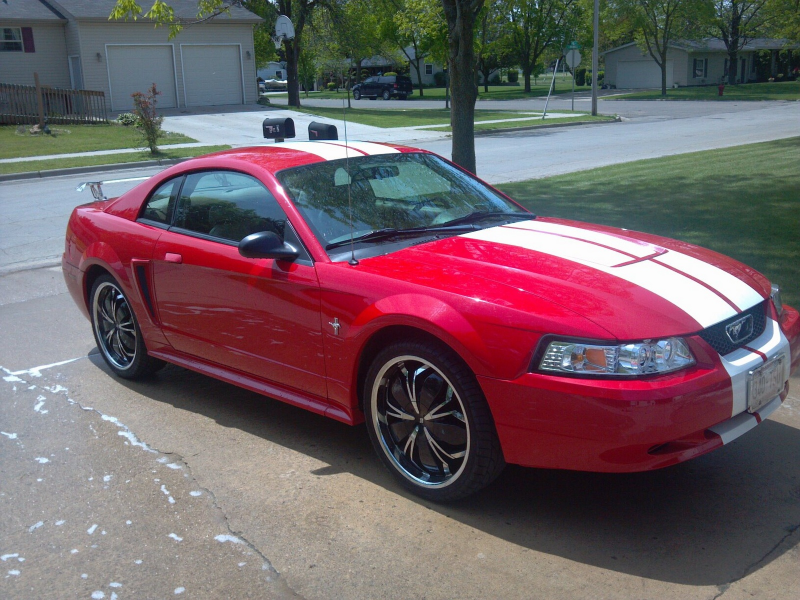 Picture of 2003 Ford Mustang Base
